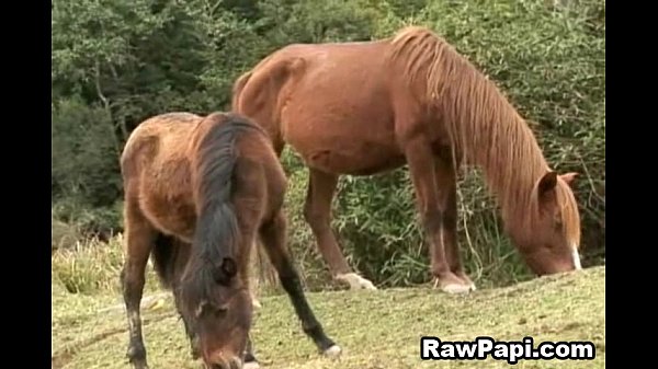 Anal batendo em dois latinos gostosos e sexy