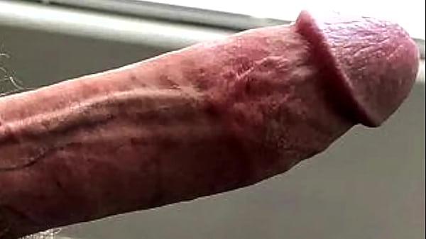 FICK MICH JETZT EINFACH, 6: P. TRAINER