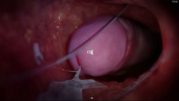 विभिन्न मुद्राओं में एक दोस्त के साथ कठिन सेक्स, खेल से एनीमेशन