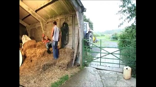 Big an Beafy. Pel&iacute_cula Completa